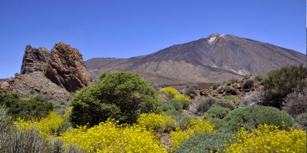 Online-Reiseführer für euren Traumurlaub auf Teneriffa