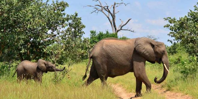 Impfungen und medizinische Hinweise für Urlaub in Südafrika