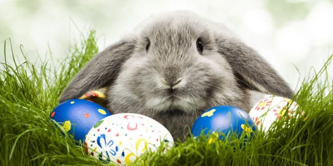Spontan und günstig verreisen: Die besten Städtereisen über Ostern
