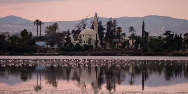 Erholungsreise und Aktivurlaub in Larnaca auf Zypern