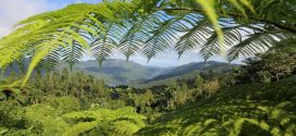 Ein Ausflug nach Topes de Collantes – Wandern, Natur und Kaffeeverkostung